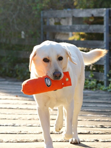 121103d.jpg