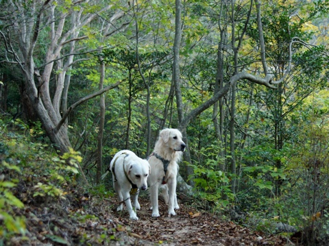 121103e.jpg