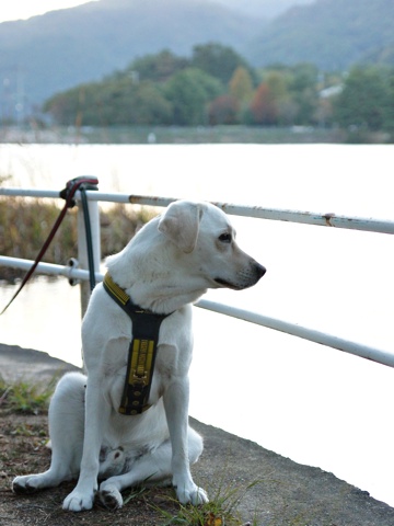 121103f.jpg