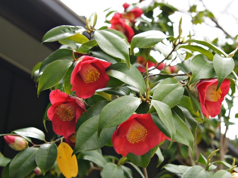130501f.jpg