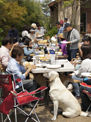 130504a.jpg