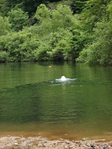 130601i.jpg