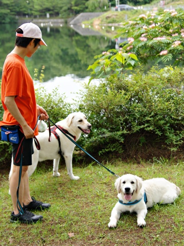 130715f.jpg
