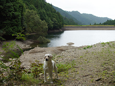130831a.jpg