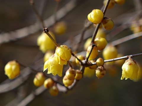 140201i.jpg
