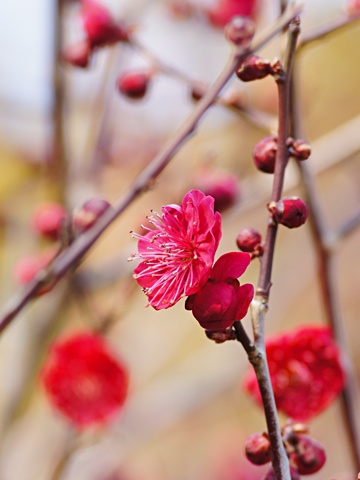 140323a.jpg