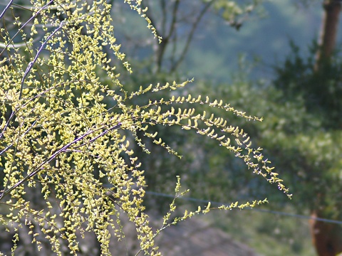140402a.jpg