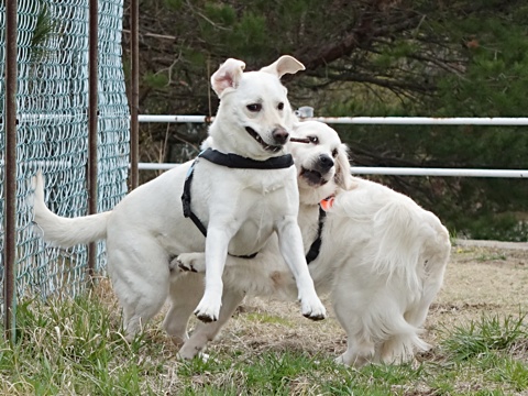 140405e.jpg