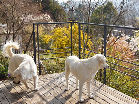 140410a.jpg