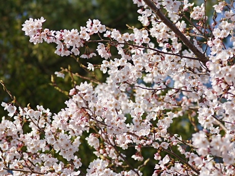 140410c.jpg