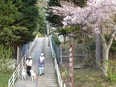 140417a.jpg