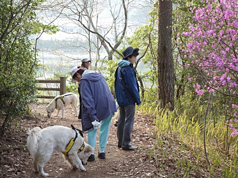 140417f.jpg