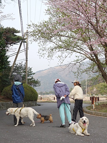 140417g.jpg