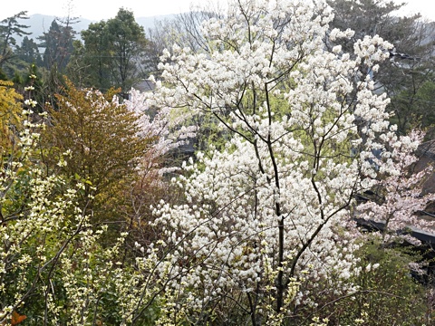 140417j.jpg
