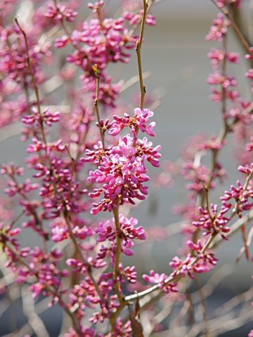 140419e.jpg