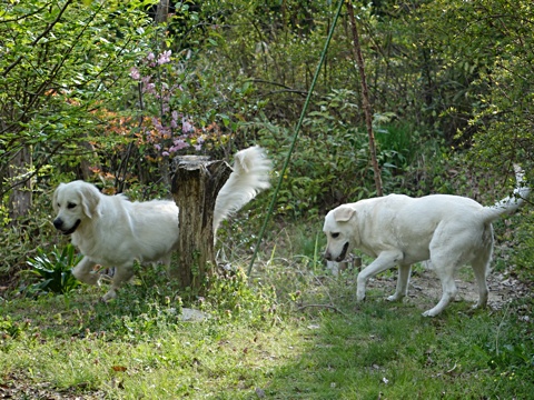 140426a.jpg