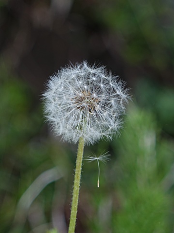 140426f.jpg