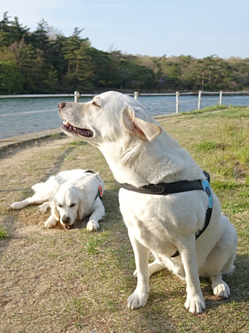 140427d.jpg