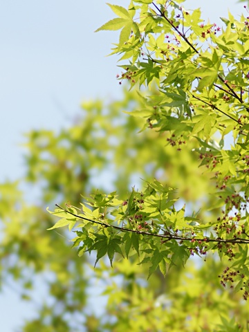 140503a.jpg