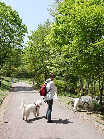 140510a.jpg