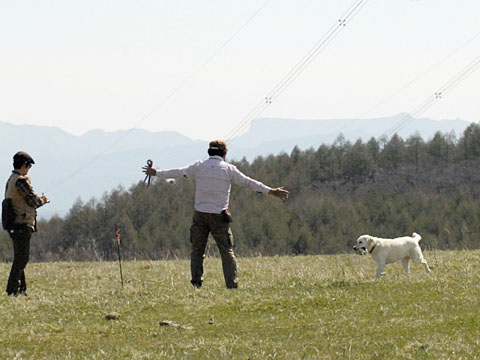 140511fromCNa.jpg