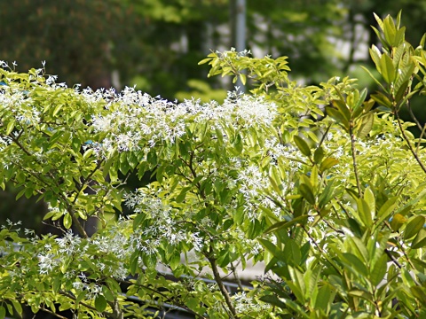 140524e.jpg