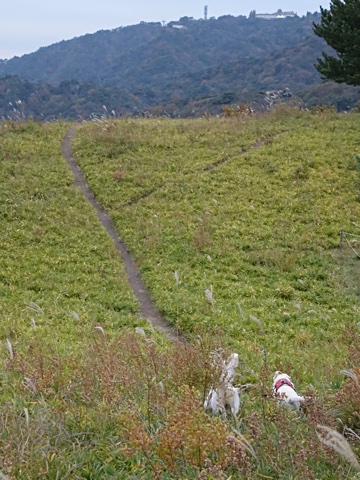 141108f.jpg