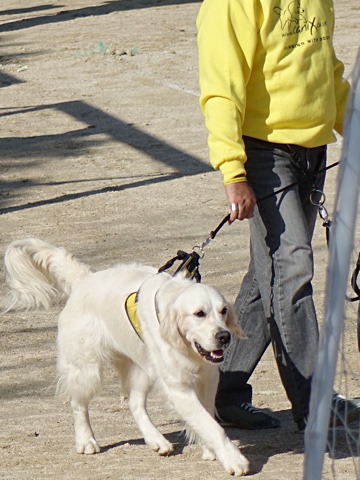 141130e.jpg
