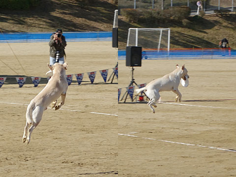 141130l.jpg
