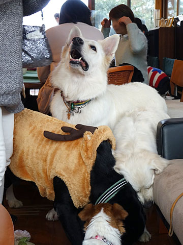 141221f.jpg