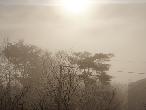 141229a.jpg