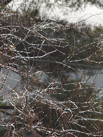 141229b.jpg