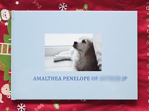 AlbumOfPenny-a.jpg