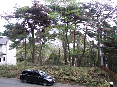 Wilderness06a.jpg
